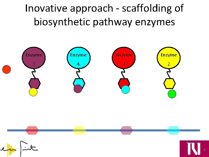 Inovative approach - scaffolding of biosynthetic pathway enzymes Enzyme 3 4 1 2 5