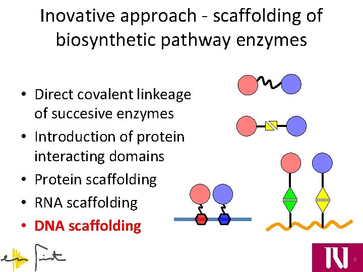 Inovative approach - scaffolding of biosynthetic pathway enzymes • Direct covalent linkeage of succesive