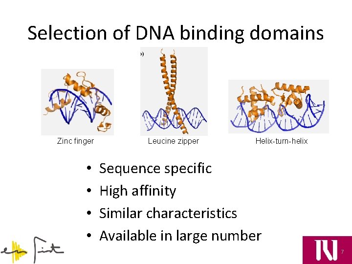 Selection of DNA binding domains Zinc finger • • Leucine zipper Helix-turn-helix Sequence specific