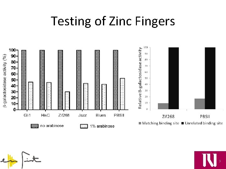 Testing of Zinc Fingers 9 