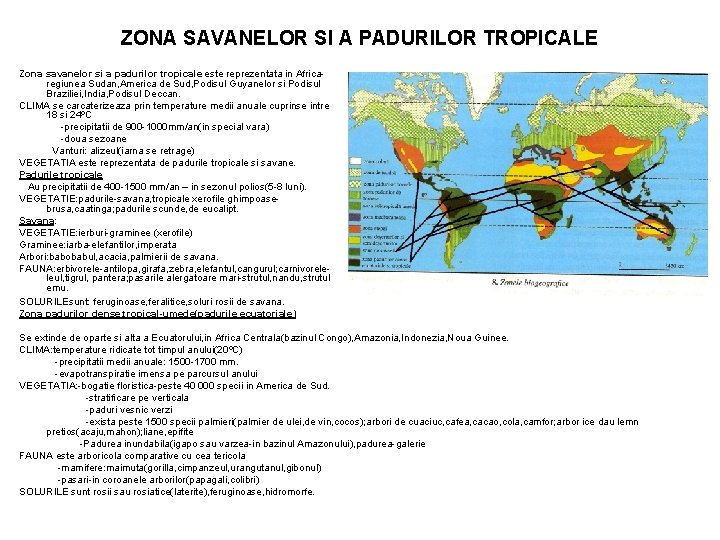 ZONA SAVANELOR SI A PADURILOR TROPICALE Zona savanelor si a padurilor tropicale este reprezentata