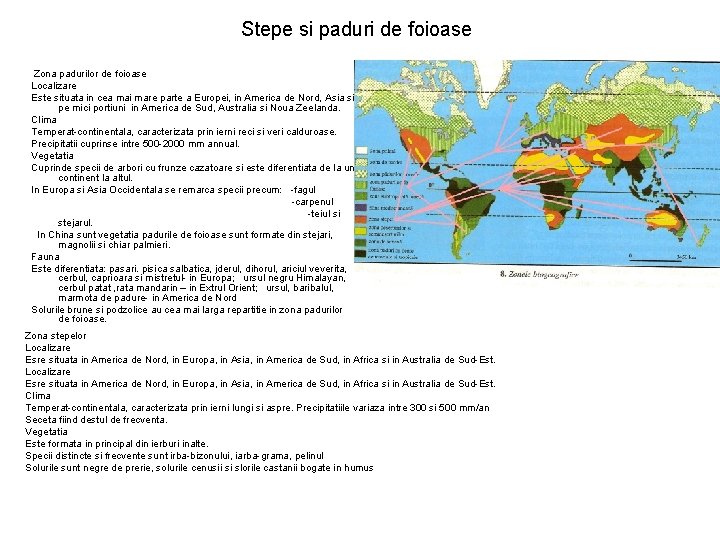 Stepe si paduri de foioase Zona padurilor de foioase Localizare Este situata in cea Stepe si paduri de foioase Zona padurilor de foioase Localizare Este situata in cea