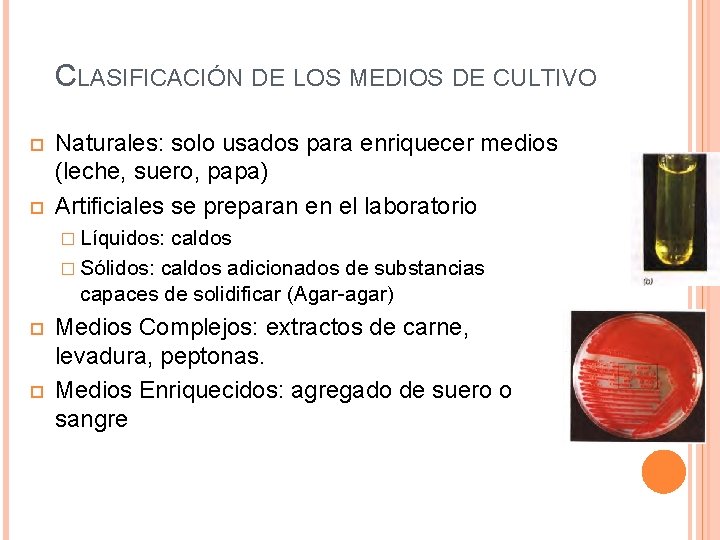 CLASIFICACIÓN DE LOS MEDIOS DE CULTIVO Naturales: solo usados para enriquecer medios (leche, suero,