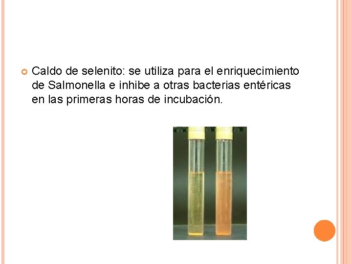  Caldo de selenito: se utiliza para el enriquecimiento de Salmonella e inhibe a