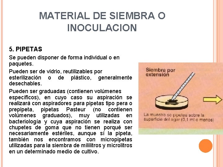 MATERIAL DE SIEMBRA O INOCULACION 5. PIPETAS Se pueden disponer de forma individual o