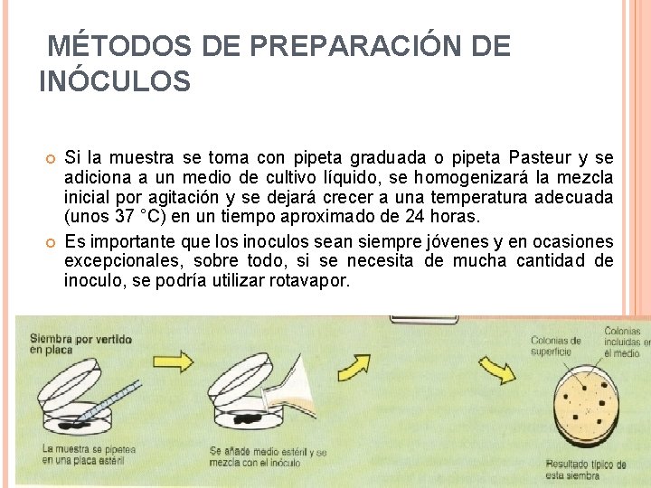  MÉTODOS DE PREPARACIÓN DE INÓCULOS Si la muestra se toma con pipeta graduada