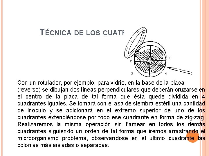 TÉCNICA DE LOS CUATRO CUADRANTES Con un rotulador, por ejemplo, para vidrio, en la