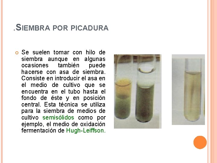 . SIEMBRA POR PICADURA Se suelen tomar con hilo de siembra aunque en algunas