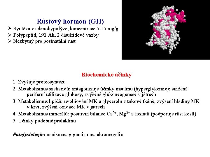 Růstový hormon (GH) Ø Syntéza v adenohypofýze, koncentrace 5 -15 mg/g Ø Polypeptid, 191