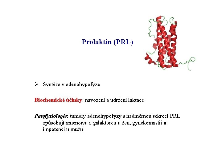 Prolaktin (PRL) Ø Syntéza v adenohypofýze Biochemické účinky: navození a udržení laktace Patofysiologie: tumory