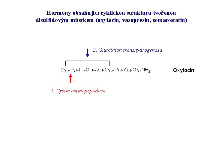 Hormony obsahující cyklickou strukturu tvořenou disulfidovým můstkem (oxytocin, vasopresin, somatostatin) 2. Glutathion transhydrogenasa Cys-Tyr-Ile-Gln-Asn-Cys-Pro-Arg-Gly-NH