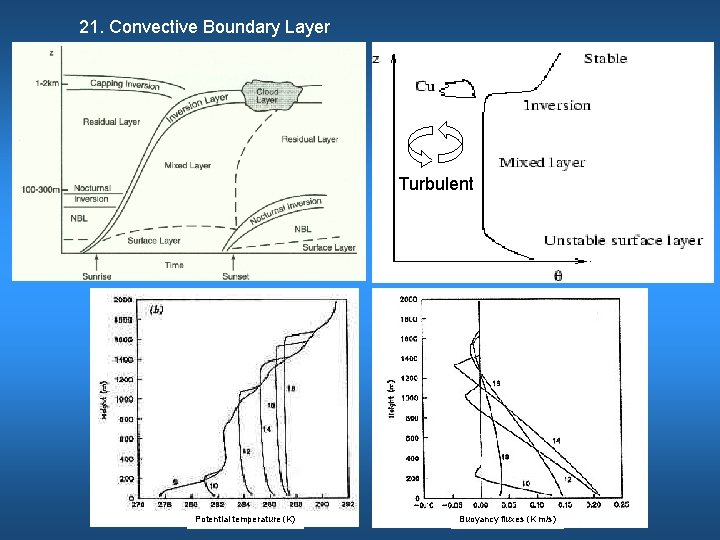 21. Convective Boundary Layer Turbulent Potential temperature (K) Buoyancy fluxes (K m/s) 