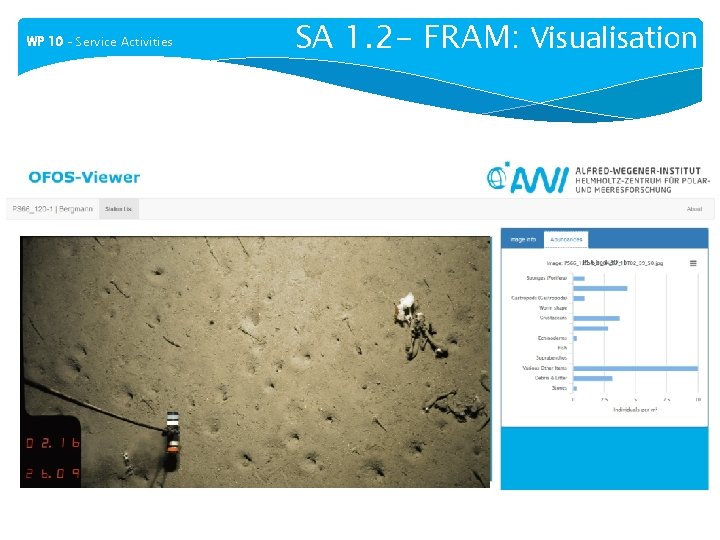 WP 10 – Service Activities SA 1. 2 - FRAM: Visualisation 