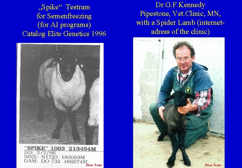 „Spike“ Testram for Semenfreezing (for AI programs) Catalog Elite Genetics 1996 Klaus Textor Dr.