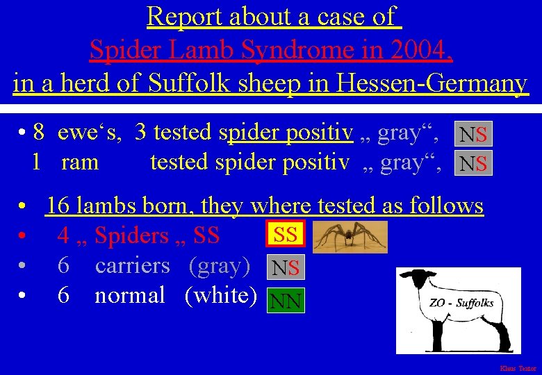 Report about a case of Spider Lamb Syndrome in 2004, in a herd of
