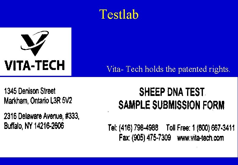 Testlab Vita- Tech holds the patented rights. 