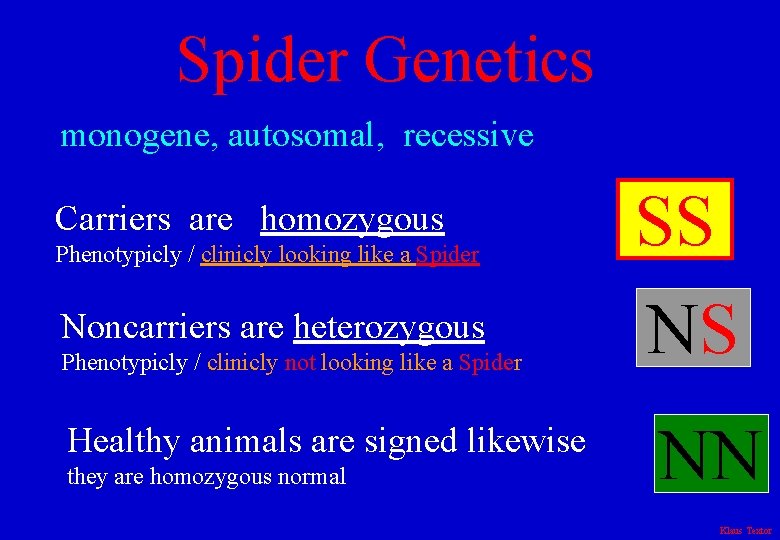 Spider Genetics monogene, autosomal, recessive Carriers are homozygous Phenotypicly / clinicly looking like a