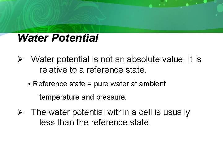 Water Potential Ø Water potential is not an absolute value. It is relative to