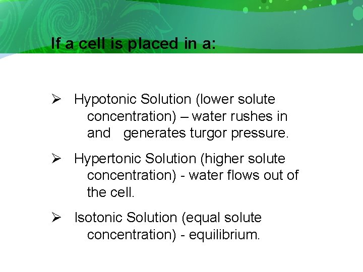 If a cell is placed in a: Ø Hypotonic Solution (lower solute concentration) –