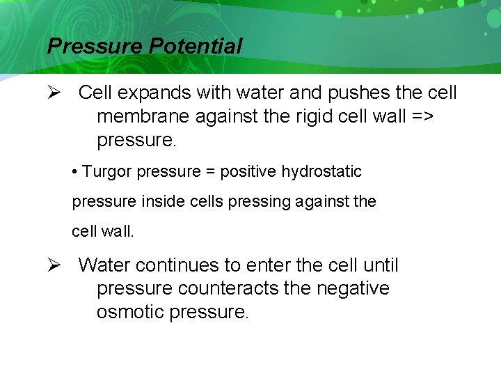 Pressure Potential Ø Cell expands with water and pushes the cell membrane against the