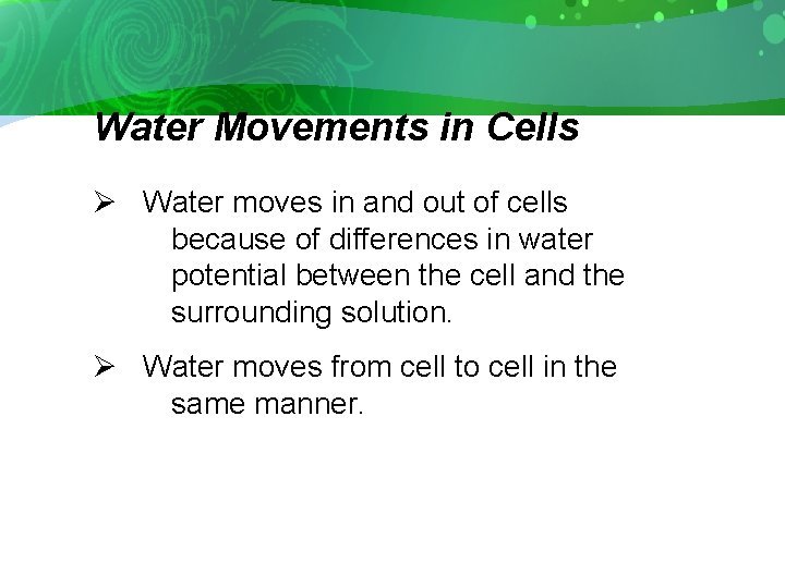 Water Movements in Cells Ø Water moves in and out of cells because of
