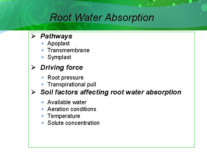 Root Water Absorption Ø Pathways § Apoplast § Transmembrane § Symplast Ø Driving force