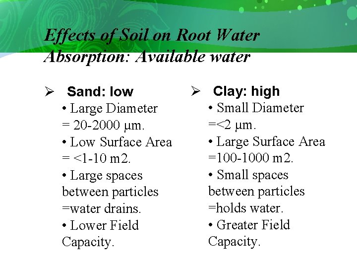 Effects of Soil on Root Water Absorption: Available water Ø Sand: low • Large