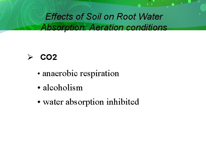 Effects of Soil on Root Water Absorption: Aeration conditions Ø CO 2 • anaerobic