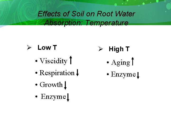 Effects of Soil on Root Water Absorption: Temperature Ø Low T Ø High T