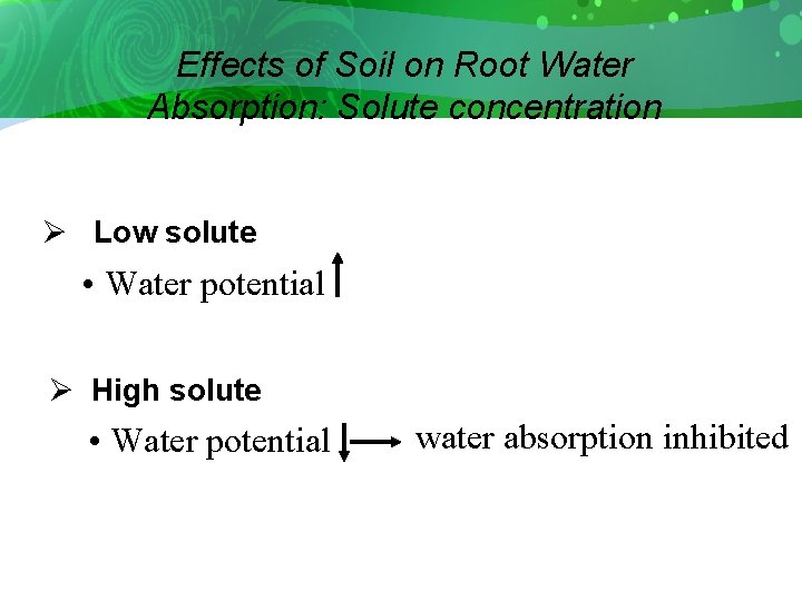 Effects of Soil on Root Water Absorption: Solute concentration Ø Low solute • Water