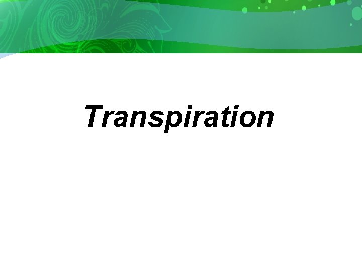 Transpiration 