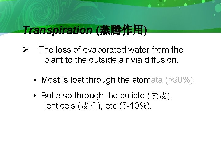 Transpiration (蒸腾作用) Ø The loss of evaporated water from the plant to the outside