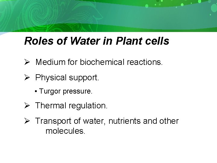 Roles of Water in Plant cells Ø Medium for biochemical reactions. Ø Physical support.