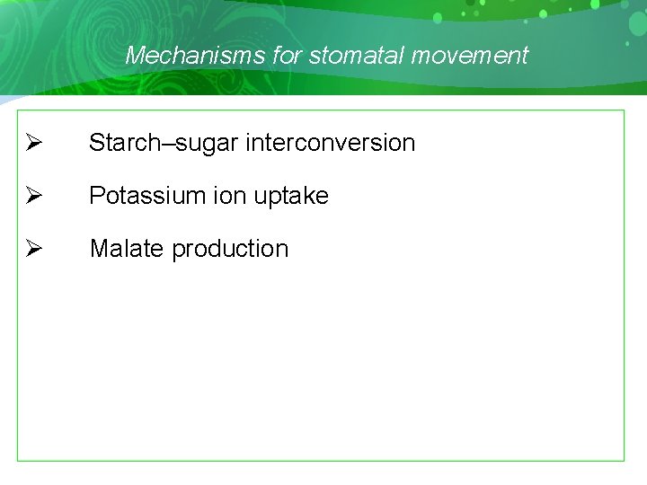 Mechanisms for stomatal movement Ø Starch–sugar interconversion Ø Potassium ion uptake Ø Malate production