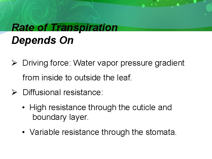 Rate of Transpiration Depends On Ø Driving force: Water vapor pressure gradient from inside