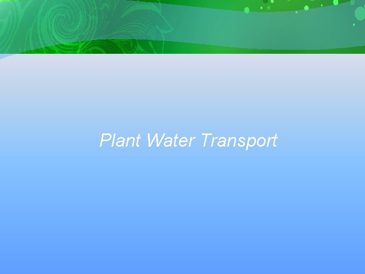 Plant Water Transport 
