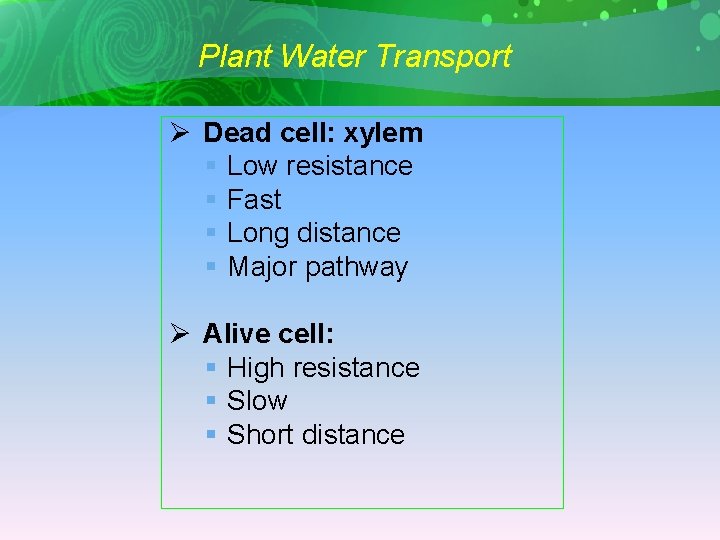 Plant Water Transport Ø Dead cell: xylem § Low resistance § Fast § Long