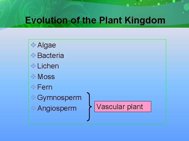 Evolution of the Plant Kingdom v Algae v Bacteria v Lichen v Moss v