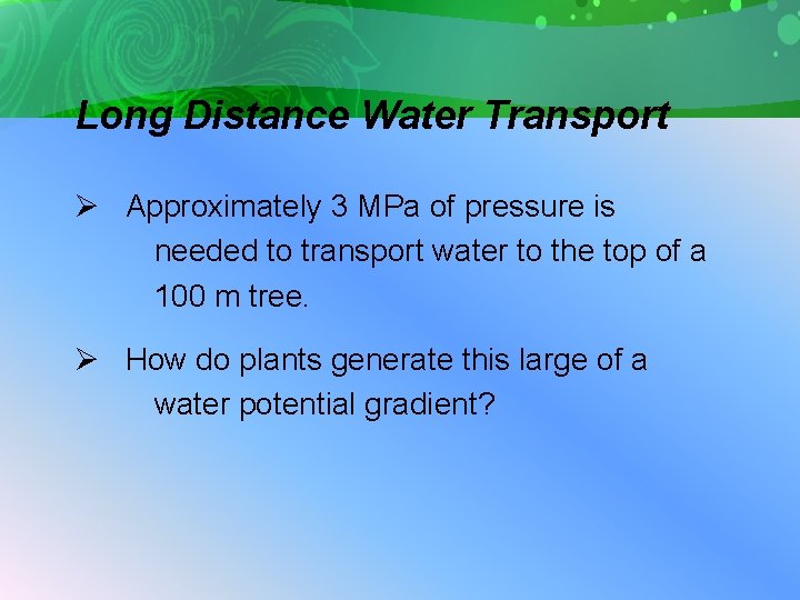 Long Distance Water Transport Ø Approximately 3 MPa of pressure is needed to transport