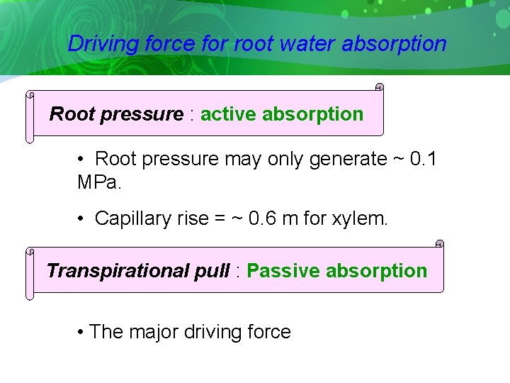 Driving force for root water absorption Root pressure : active absorption • Root pressure