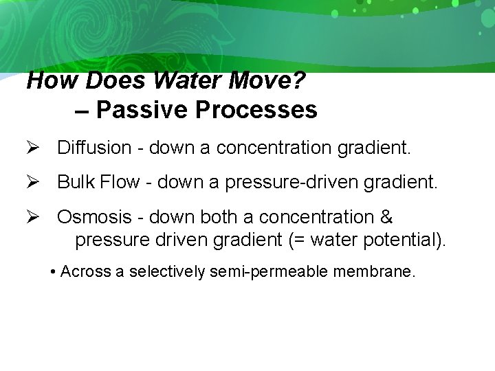 How Does Water Move? – Passive Processes Ø Diffusion - down a concentration gradient.
