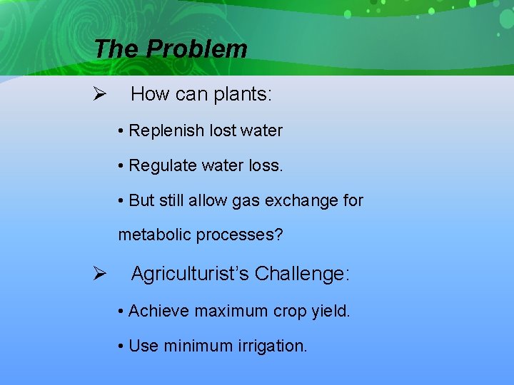 The Problem Ø How can plants: • Replenish lost water • Regulate water loss.