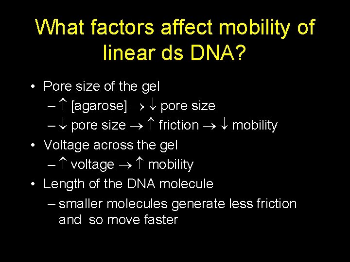 What factors affect mobility of linear ds DNA? • Pore size of the gel