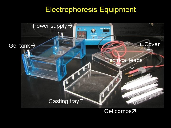 Electrophoresis Equipment Power supply Cover Gel tank Electrical leads Casting tray Gel combs 