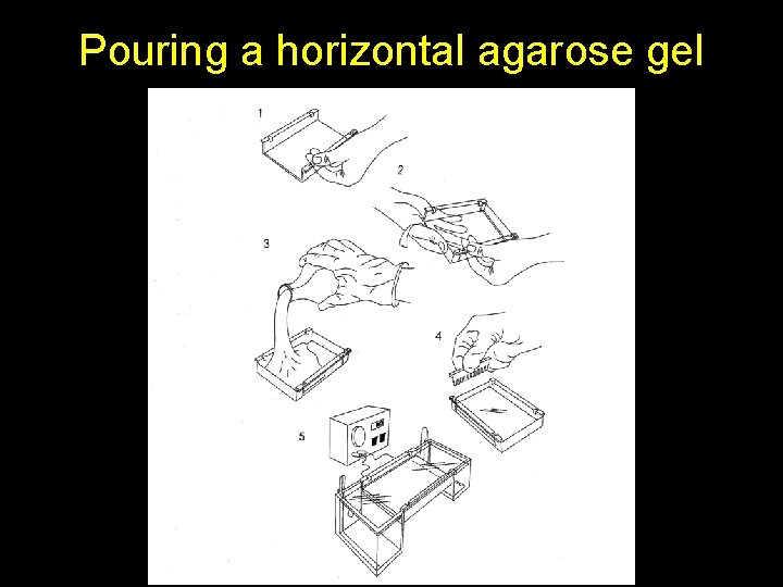 Pouring a horizontal agarose gel 