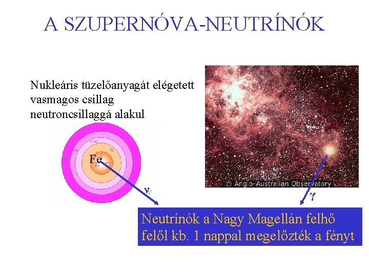 A SZUPERNÓVA-NEUTRÍNÓK Nukleáris tüzelőanyagát elégetett vasmagos csillag neutroncsillaggá alakul Fe ν γ Neutrínók a
