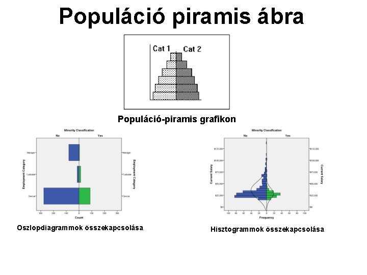 Populáció piramis ábra Populáció-piramis grafikon Oszlopdiagrammok összekapcsolása Hisztogrammok összekapcsolása 