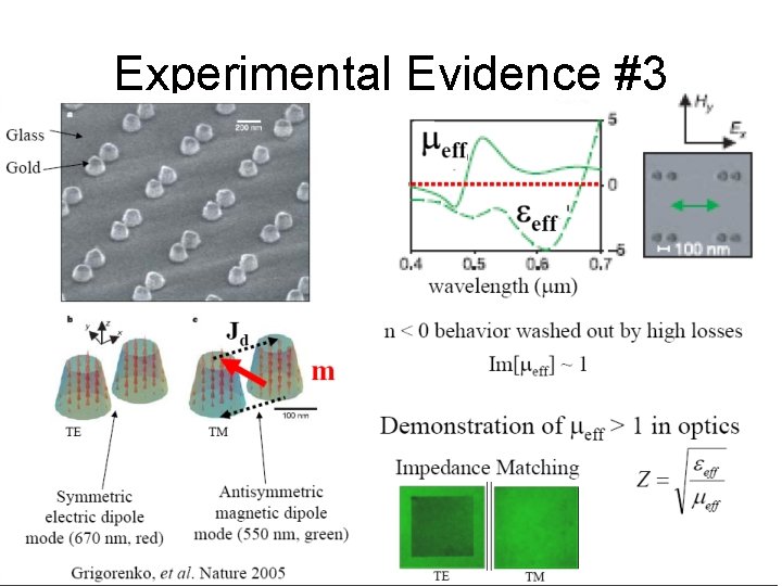 Experimental Evidence #3 