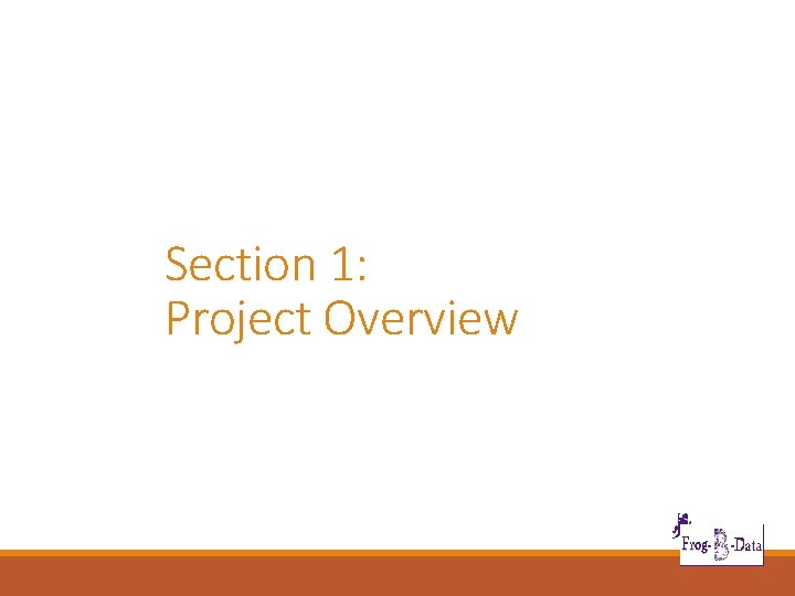 Section 1: Project Overview 