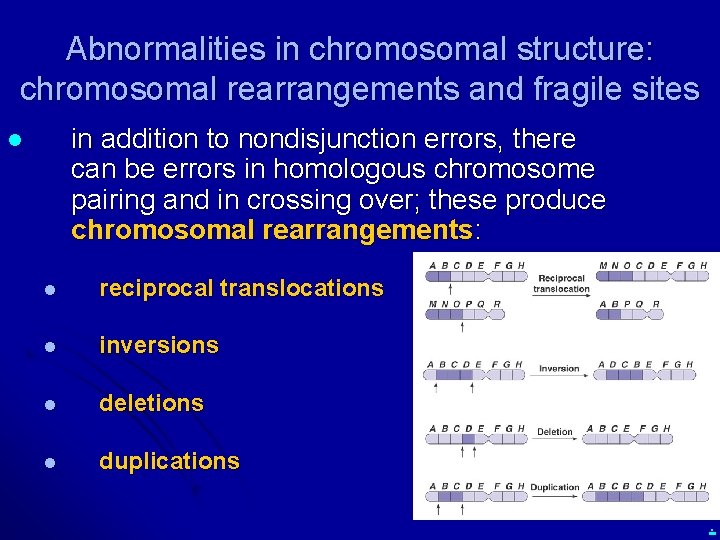 Abnormalities in chromosomal structure: chromosomal rearrangements and fragile sites in addition to nondisjunction errors,